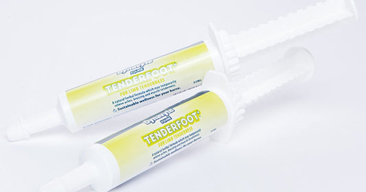 Dynavyte - Tenderfoot