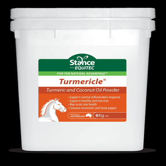 Stance Equitec Turmericle Powder 500g, 2kg, 6kg