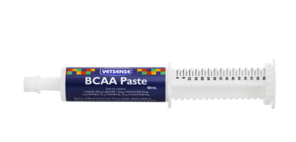 Vetsense BCAA Paste